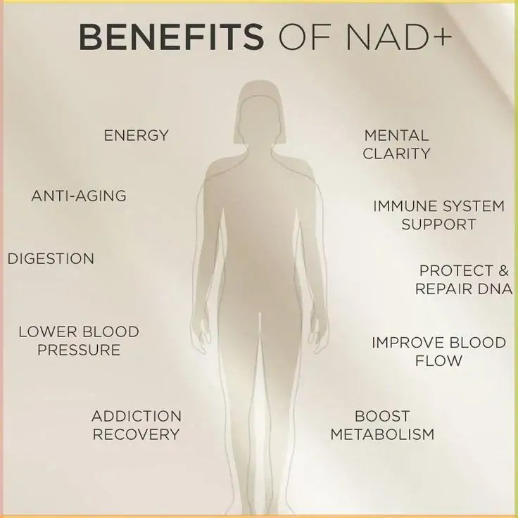 【Official Authorized Store】Tnnedey® 💎NAD+ Bee Venom Patch – Ultimate Skin Rejuvenation & Energy Boost（Last Day Discount：75%）